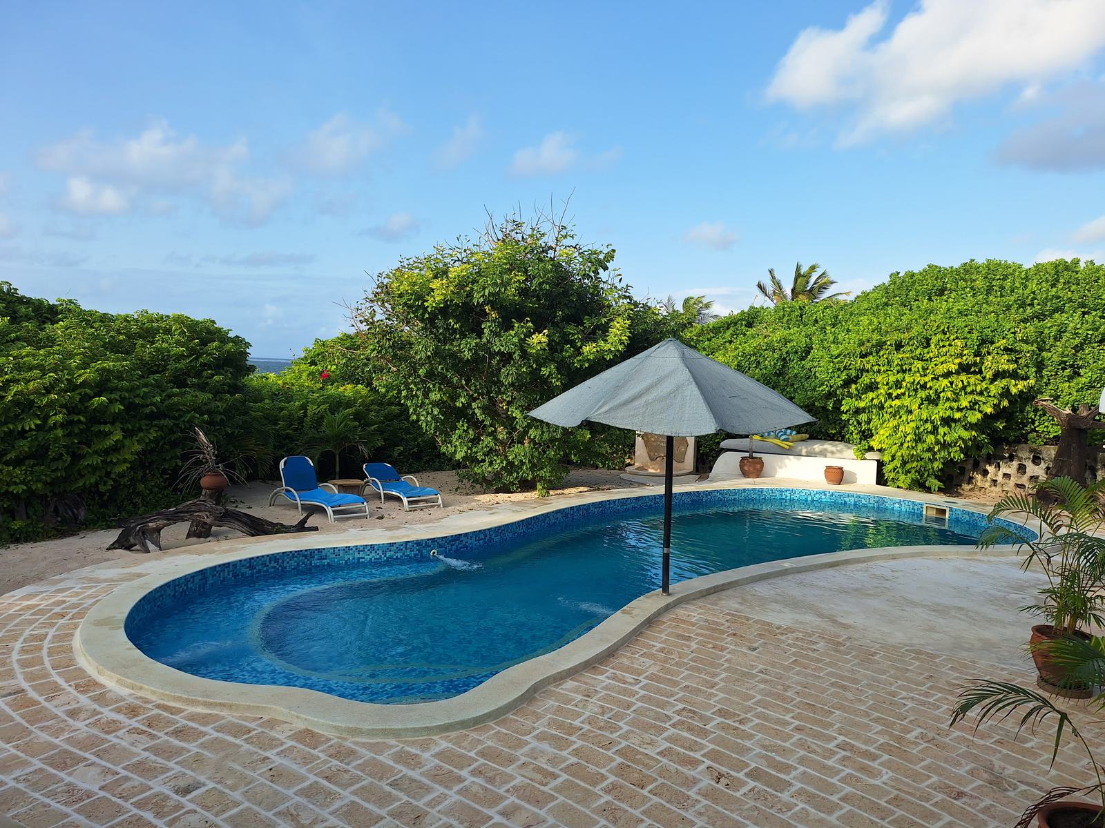 Kidney-shaped private pool with umbrella and sun loungers